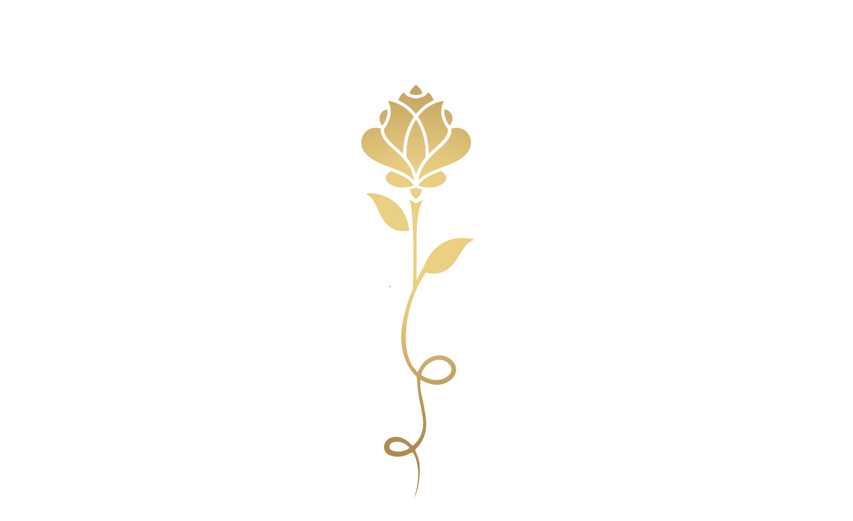 Bodytreat